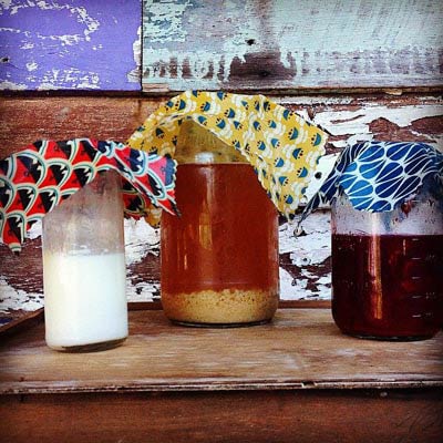 チーズなどの発酵食品に