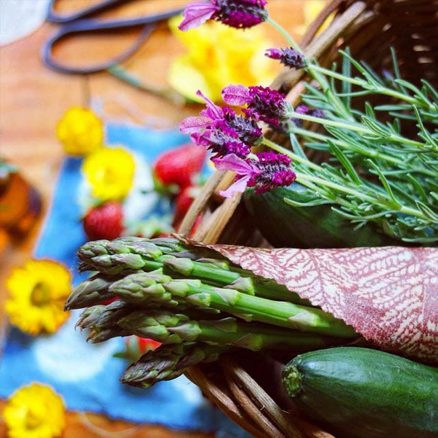 Bee Eco Wrap オーガニック・フードラップ