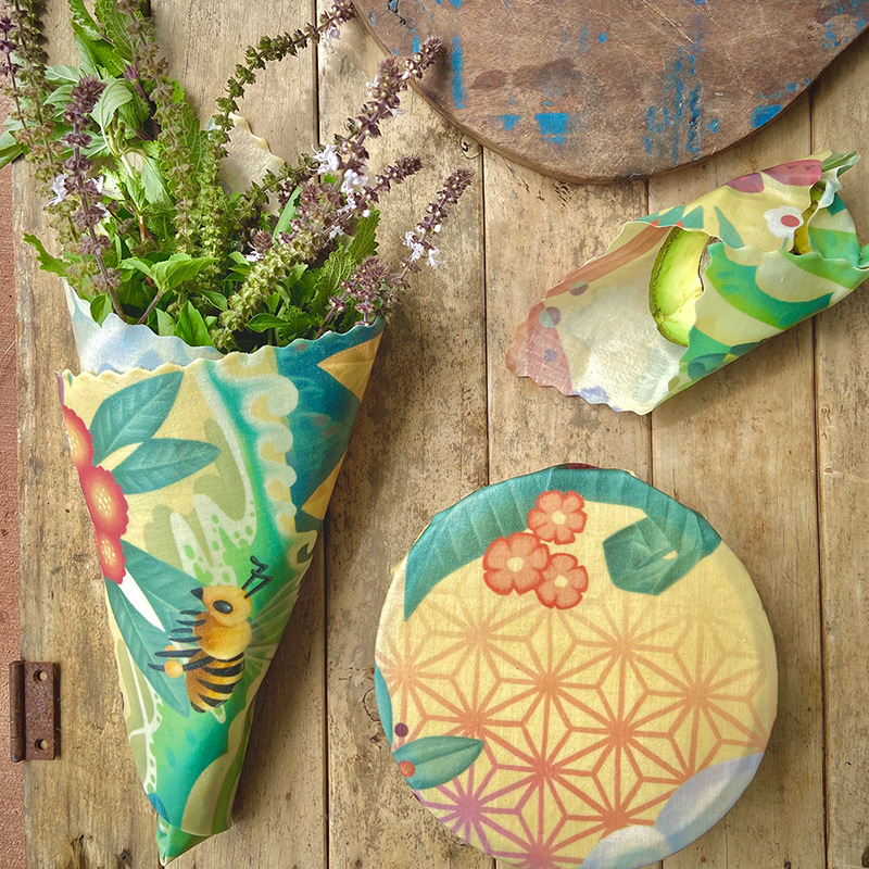 Circle of Life by Gravityfree