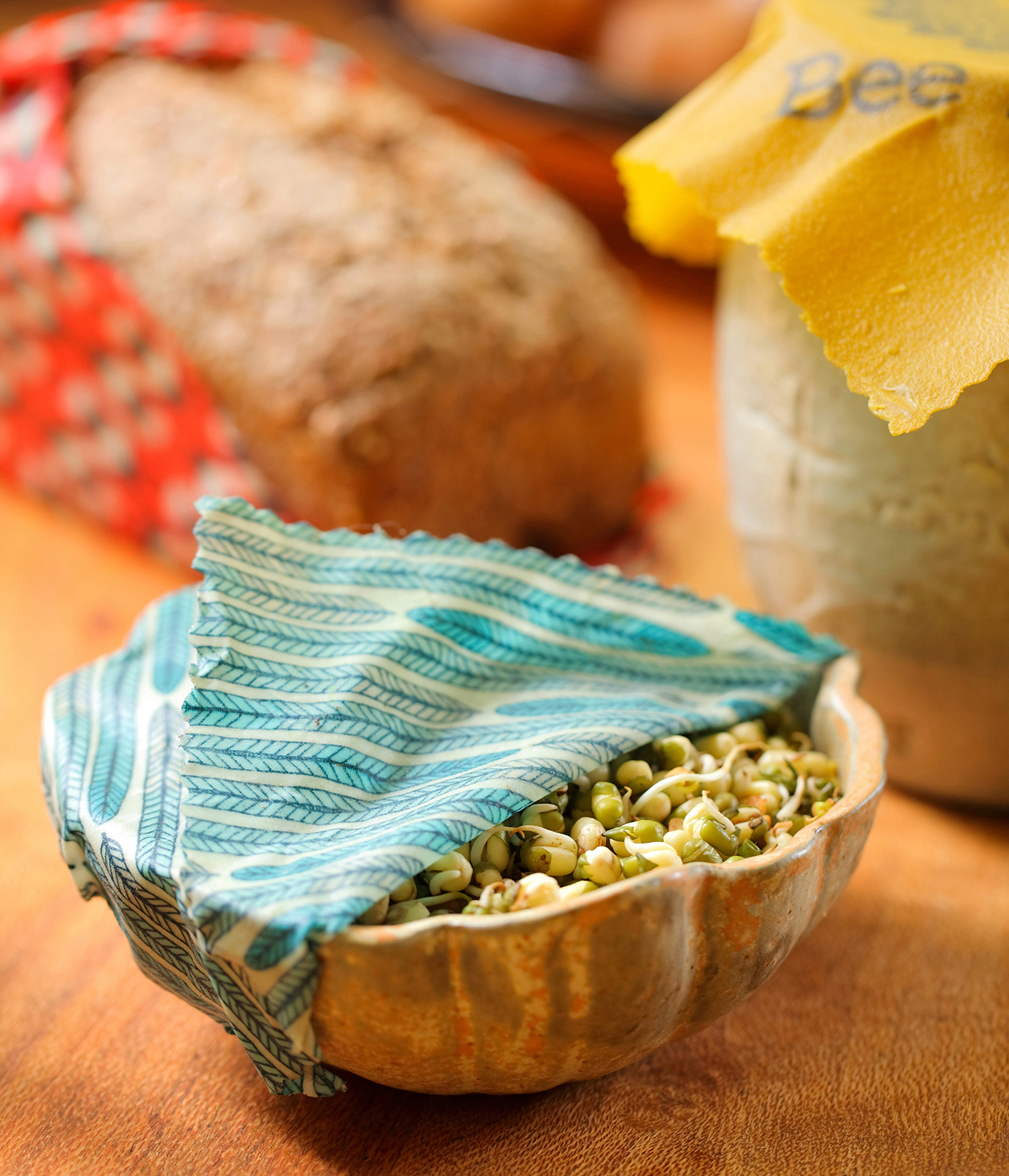 スタンダード（GOTS認証オーガニックコットン）